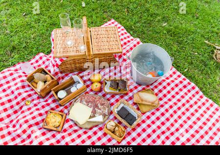 Tolles Konzept der Pic-nic, Pic-nic mit Obst und Saft auf grünen Rasen mit schöner Aussicht Stockfoto