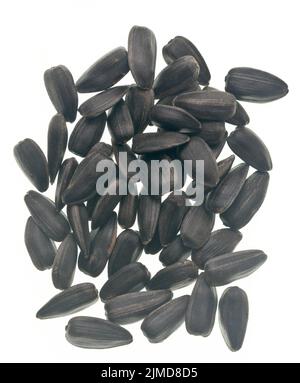 Sonnenblumenkerne Stockfoto