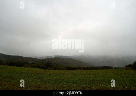 Nahaufnahme des mystischen Nebelwaldes. Nebel und tief hängende Wolken, die sich durch Bäume bewegen. Stockfoto