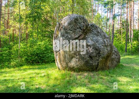 Großer Felsbrocken im Wald. Big Rock auf der Landschaft, Green Forest im Hintergrund Stockfoto