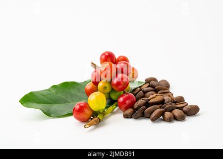 Ein paar arabica-Kaffeefrüchte mit grünem Blatt und einem Haufen gerösteter Kaffeebohnen auf weißem Hintergrund. Stockfoto