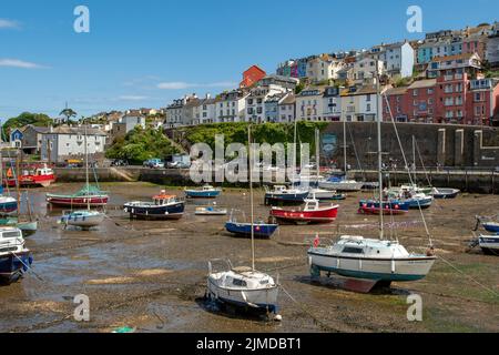 Low Tide im Hafen, Brixham, Devon, England Stockfoto