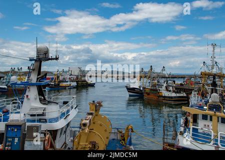 Angelboothafen, Brixham, Devon, England Stockfoto