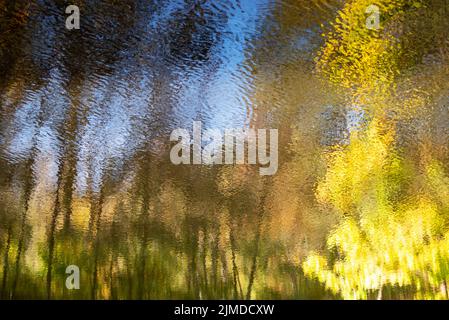 Abstrakt Herbstwald im fließenden Wasser reflektiert Stockfoto