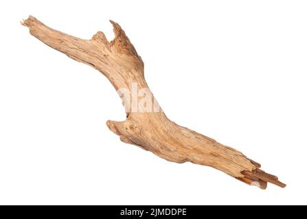 Nahaufnahme Des Trockenen Verzweiges Isoliert Stockfoto