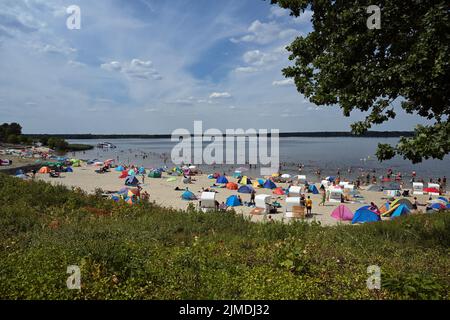 Senftenberg, Deutschland. 04. August 2022. Ausflügler schwimmen und sonnen sich am Badestrand Großkoschen am Senftenberger See. Der künstliche See wurde bis 1972 durch die Überflutung einer ehemaligen Braunkohlemine im Tagebau geschaffen und ist bis zu 25 Meter tief. Als Naherholungsgebiet ist der See bei Touristen sehr beliebt. (To dpa survey 'Tourist Areas') Credit: Soeren Stache/dpa/Alamy Live News Stockfoto