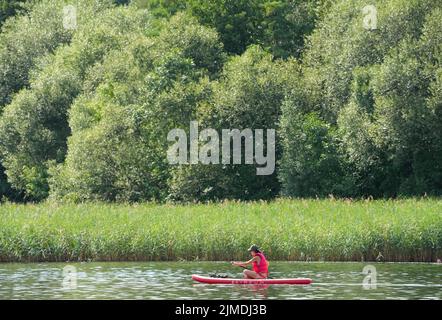 Senftenberg, Deutschland. 04. August 2022. Eine Frau gleitet auf einer SUP-Tafel aus dem Stadthafen des Senftenberger Sees, der 2013 eröffnet wurde, über das Wasser. Der künstliche See wurde bis 1972 durch die Überflutung einer ehemaligen Braunkohlemine im Tagebau geschaffen und ist bis zu 25 Meter tief. Als Naherholungsgebiet ist der See bei Touristen sehr beliebt. (To dpa survey 'Tourist Areas') Credit: Soeren Stache/dpa/Alamy Live News Stockfoto