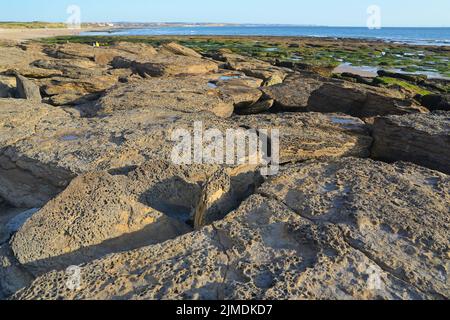 Opalküste zwischen Ambleteuse und Audresselles, Picardie, Frankreich Stockfoto