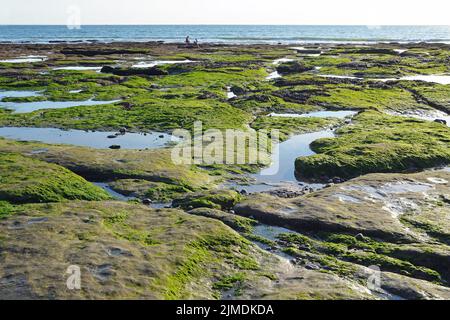 Opalküste zwischen Ambleteuse und Audresselles, Picardie, Frankreich Stockfoto