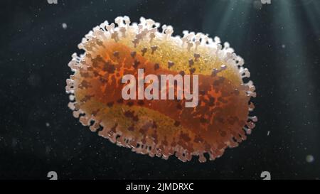 Monkeypox-Virus, Illustration Stockfoto