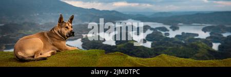 Tolle Aussicht auf den Ta Dung See. Panoramalandschaft Stockfoto