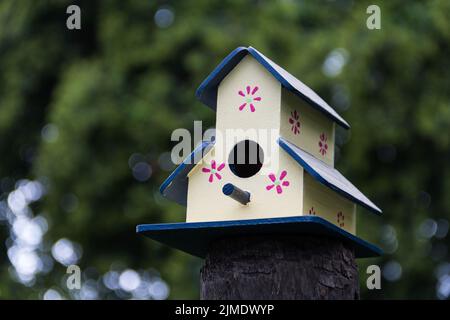 Handgefertigte Vogelhäuser im Frühjahr handbemalt auf den Baumstamm Stockfoto