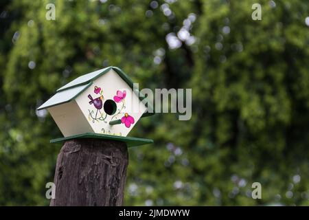Handgefertigte Vogelhäuser im Frühjahr handbemalt auf den Baumstamm Stockfoto