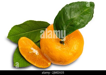 Draufsicht auf Mandarinorange oder Citrus reticulata mit Blättern auf weißem Hintergrund. Stockfoto