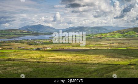 Blick von den Kerry Cliffs auf grasende Rinder auf Feldern und Weiden der Halbinsel Iveragh Stockfoto