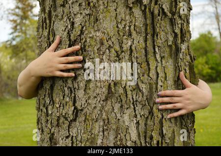 Baum Umarmt Umweltschützer Stockfoto
