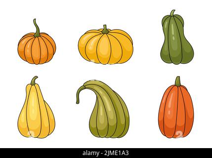 Handgezeichneter Vektorsatz verschiedener Kürbisse. Farbige Trenddarstellung. Flaches Design. Stock Vektor