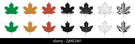 Vektordarstellung von grünen, gelben und roten Platanenblättern in verschiedenen Stilen, isoliert auf weißem Hintergrund. Maple Leaf cli Stockfoto