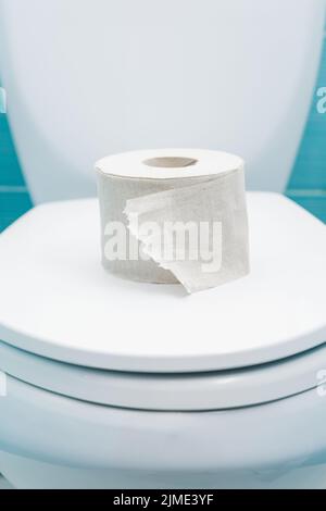 Zerrissene Rolle Toilettenpapier liegt auf dem geschlossenen Deckel der Toilettenschüssel Stockfoto