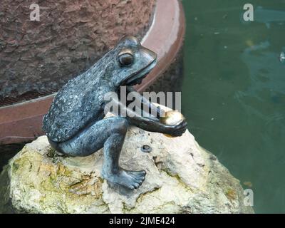 Märchen, Froschprinz Stockfoto