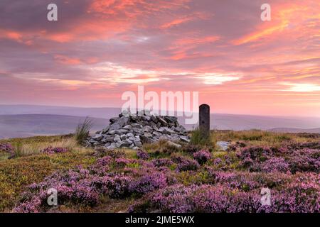 Long man, Teesdale/Weardale Border, County Durham, Großbritannien. 6.. August 2022. Wetter in Großbritannien. Ein wunderschöner Sonnenaufgang beleuchtet die lila blühende Heide, die den Currick of Long man Hügel in den North Pennines umgibt. Diese Steincurricks, auch bekannt als cairns, dienen oft als Markierungen an den Grenzen und Hügeln der North Pennines. Kredit: David Forster/Alamy Live Nachrichten Stockfoto