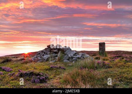 Long man, Teesdale/Weardale Border, County Durham, Großbritannien. 6.. August 2022. Wetter in Großbritannien. Ein wunderschöner Sonnenaufgang beleuchtet die lila blühende Heide, die den Currick of Long man Hügel in den North Pennines umgibt. Diese Steincurricks, auch bekannt als cairns, dienen oft als Markierungen an den Grenzen und Hügeln der North Pennines. Kredit: David Forster/Alamy Live Nachrichten Stockfoto