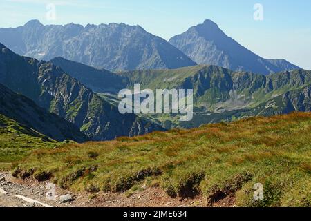 Blick vom Weg nach Swinica Stockfoto