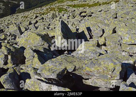 Rock mit Flechten auf der Soucheseite von Swinica Stockfoto