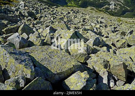 Gestein mit Flechten auf der Südseite von Swinica Stockfoto