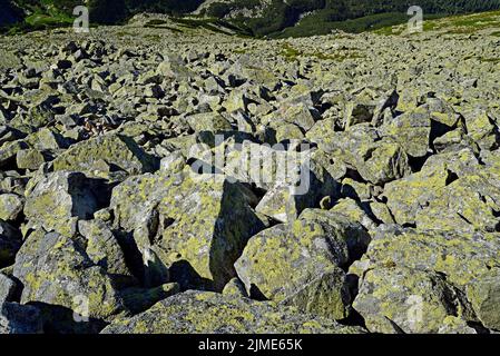 Rock mit Flechten auf der Soucheseite von Swinica Stockfoto