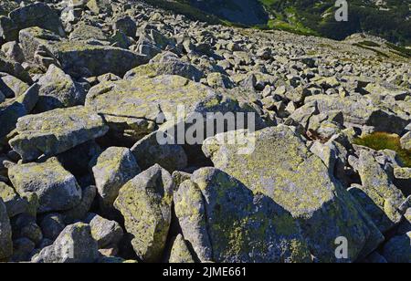 Weg nach Swinica, Felsbrocken Stockfoto