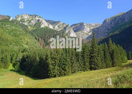 Czerwone Wierchy von Wantule aus gesehen Stockfoto