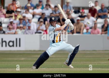 Harry kam während Essex Eagles vs Derbyshire, Royal London One-Day Cup Cricket auf dem Cloud County Ground am 5. Augu in die Schlagaktion für Derbyshire Stockfoto