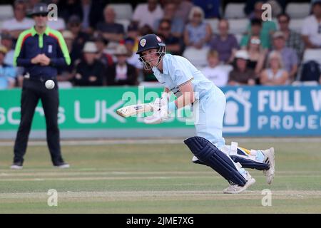 Harry kam während Essex Eagles vs Derbyshire, Royal London One-Day Cup Cricket auf dem Cloud County Ground am 5. Augu in die Schlagaktion für Derbyshire Stockfoto