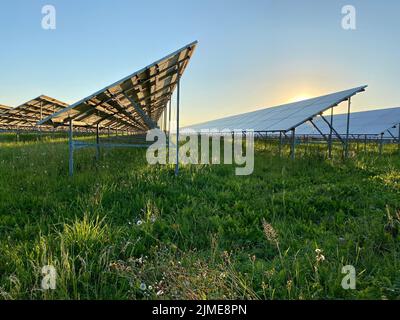 Ein Blick auf ein Solarkraftwerk, Reihen von Solarmodulen oder Paneelen im Feld unter Sonne Stockfoto