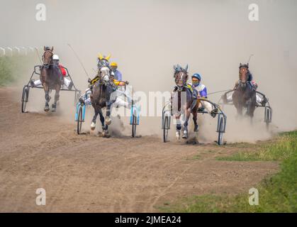 Fünf Pferde treten an einem Sommertag in Harness Racing an Stockfoto