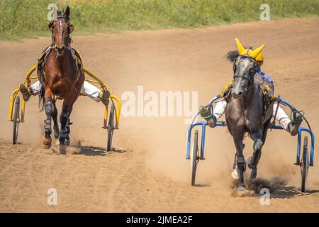 Zwei Pferde treten an einem Sommertag in Harness Racing an Stockfoto