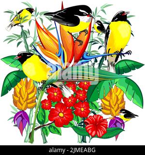Ein Vektor-Design von niedlichen exotischen Bananaquit-Vögeln in farbenfroher tropischer Natur auf weißem Hintergrund Stock Vektor