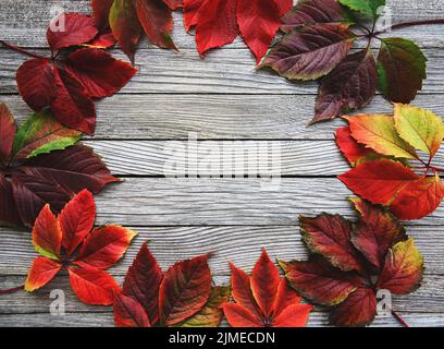 Herbstblätter Rahmen auf Holzhintergrund Stockfoto