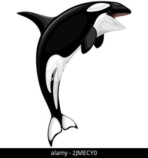 Ein Vektor-Illustration-Symbol eines Killerwhale Spirit Orca springt isoliert auf weißem Hintergrund Stock Vektor
