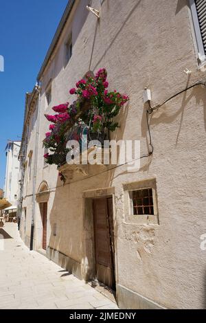 Balkon eines Hauses in der Altstadt von Rab in Kroatien mit vielen Blumen als Dekoration Stockfoto