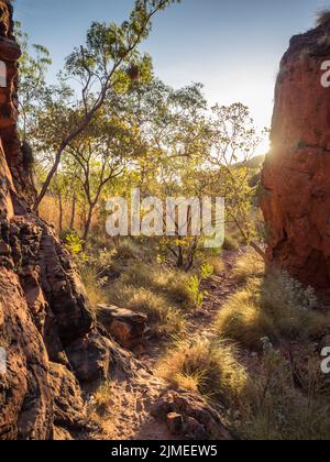 Pfad, der durch eine Lücke im Quarzsandstein und den kongolmerierten sedimentären Karstgesteinsformationen des Mirima National Park, East Kimberley, führt Stockfoto