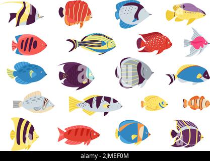 Flache tropische Fische. Anemone Fisch, Aquarium Meerestier. Cartoon isoliert unter Wasser wilden Figuren. Goldfische und exotische Meeresbewohner anständige Vektor-Set Stock Vektor