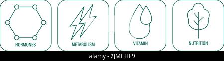 Hormone, Stoffwechsel, Vitamin, Ernährung Symbole für Verpackungsdesign amazon Liste Vektor Illustration Stock Vektor