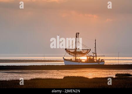 Ein Garnelenschneider im Hafen Spieka-Neufeld an der Küste der Wurster Nordsee. Stockfoto