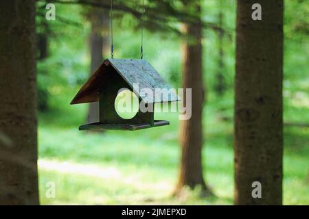 Green Bird Feeder hängen in den Schatten der Bäume auf verschwommenes grün sommer wald Hintergrund Stockfoto