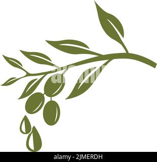 Illustration für Olivenzweig und Olivenöltropfen Stock Vektor