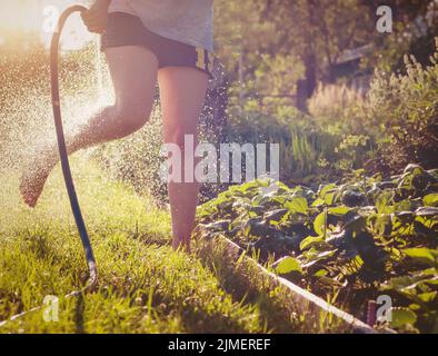 An einem warmen Sommertag im Wasser planschen, Spaß im Freien haben und sich erfrischen Stockfoto