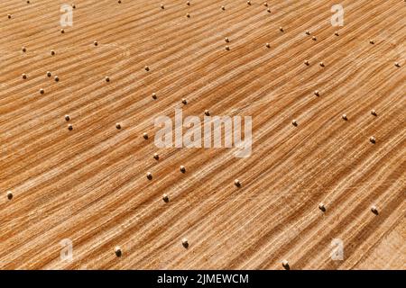 Hay on Field Luftaufnahme von oben. Haying Stockfoto