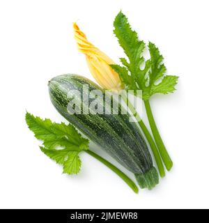 Frische Zucchini Mit Blume Und Blättern Isoliert Stockfoto